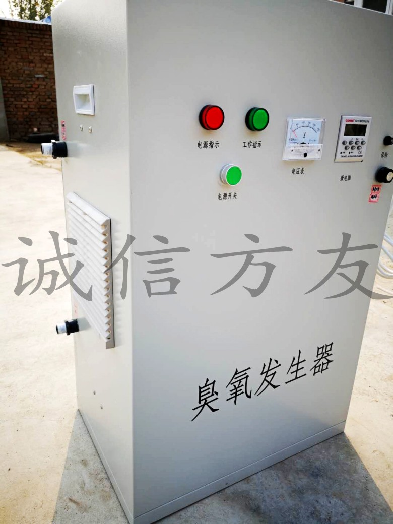 30g臭氧消毒设备